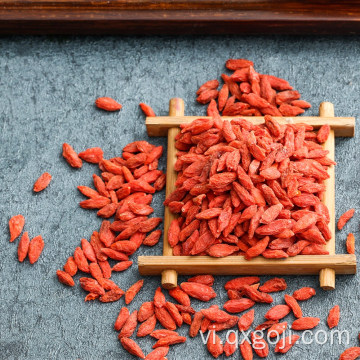 Bơ hữu cơ được chứng nhận hữu cơ khô goji berry